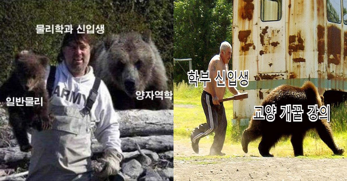 학과별 대학생을 괴롭히는 수업들ㅋㅋㅋㅋ