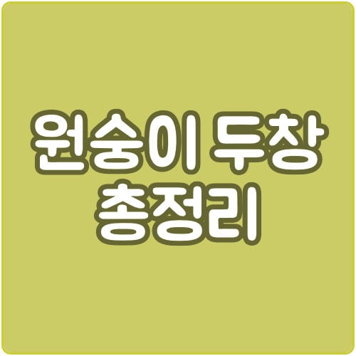  원숭이두창 증상 예방법