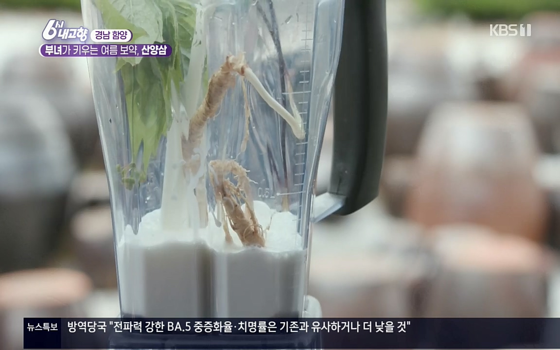 6시 내고향.E7571.220709p.H264-F1RST.mp4_20220709_174223.198.jpg
