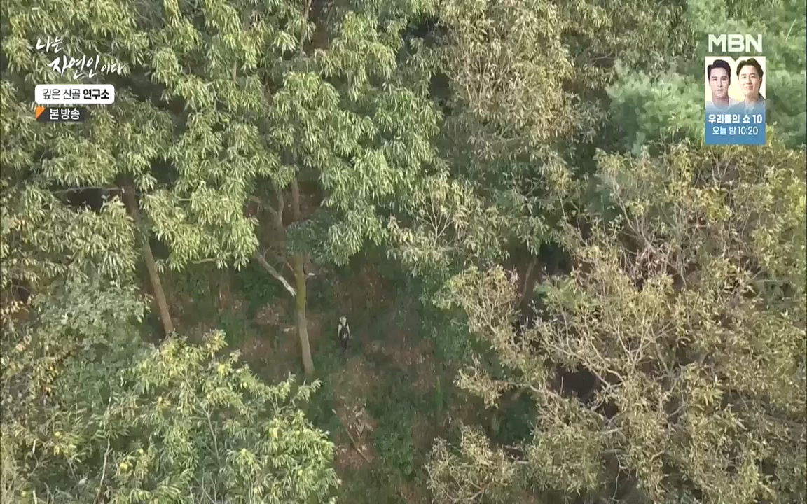 나는 자연인이다.E523.221013p.WANNA.mp4_20221013_201128.365.jpg