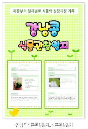  강낭콩 식물관찰일지 예시 다운