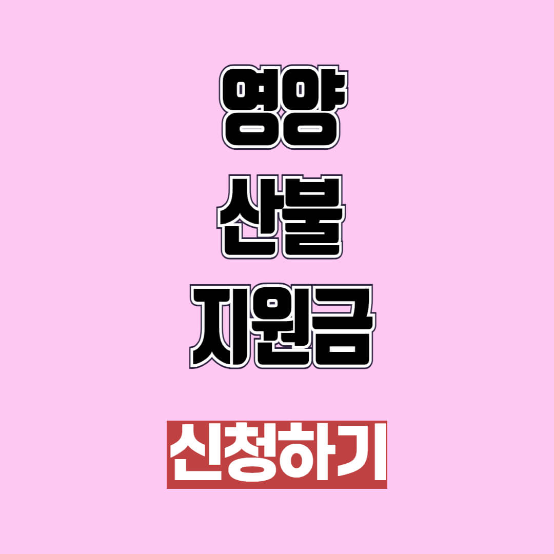 영양 산불 지원금 신청