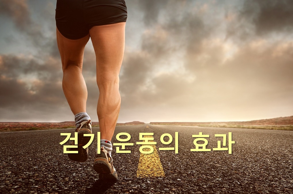  걷기 운동만 해도 건강에 좋은 효과!