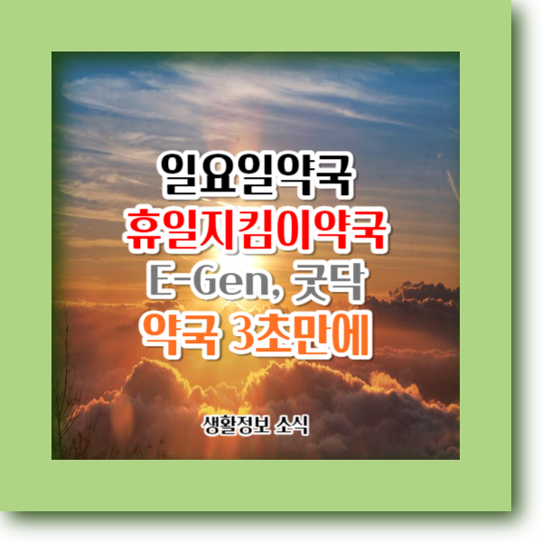 일요일에 문 여는 약국