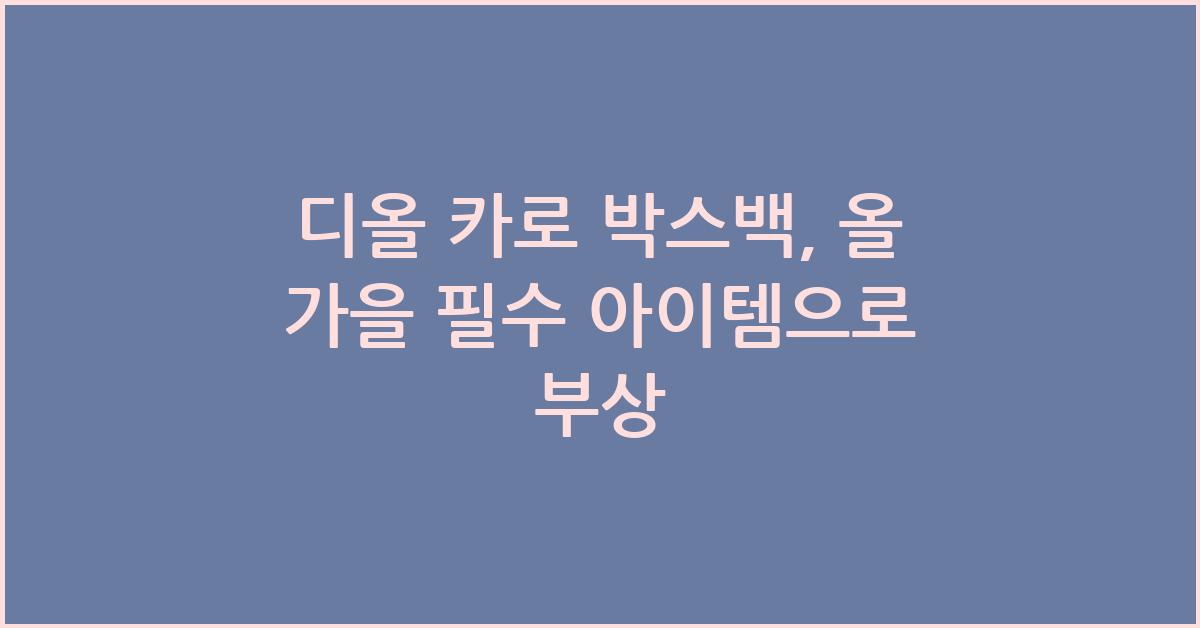 디올 카로 박스백