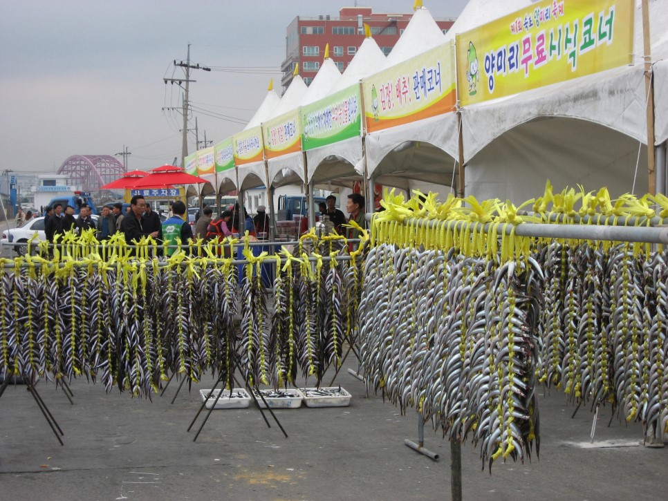  속초 별미여행, 2019 양미리 축제와 도루묵 축제 -11.1~25.