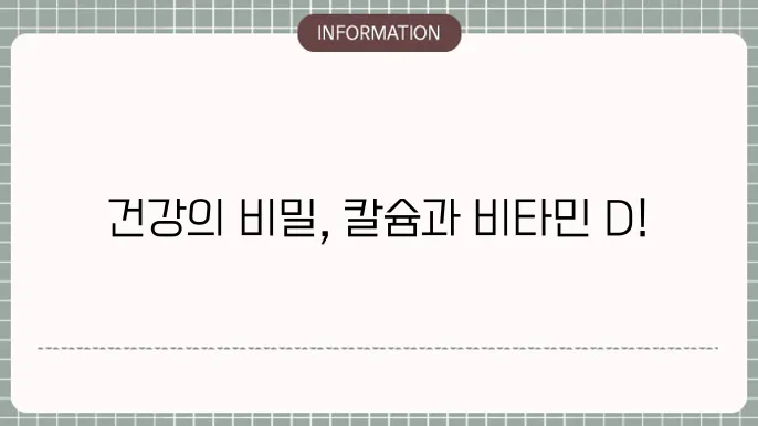 칼슘 비타민d 영양제