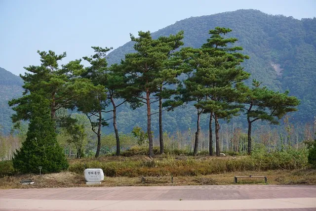 춘천 가볼만한곳 베스트10 현지인 추천 관광명소_9