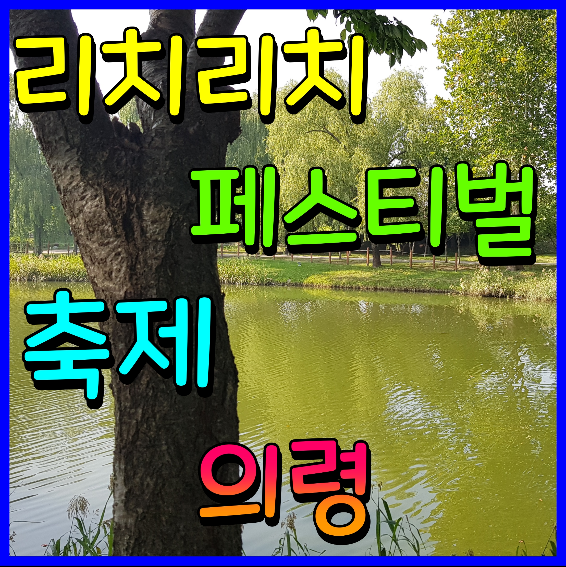  의령 리치리치 페스티벌 축제 부자의 기운을 느껴봅시다
