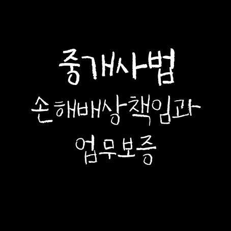  중개사법 손해배상책임과 업무보증