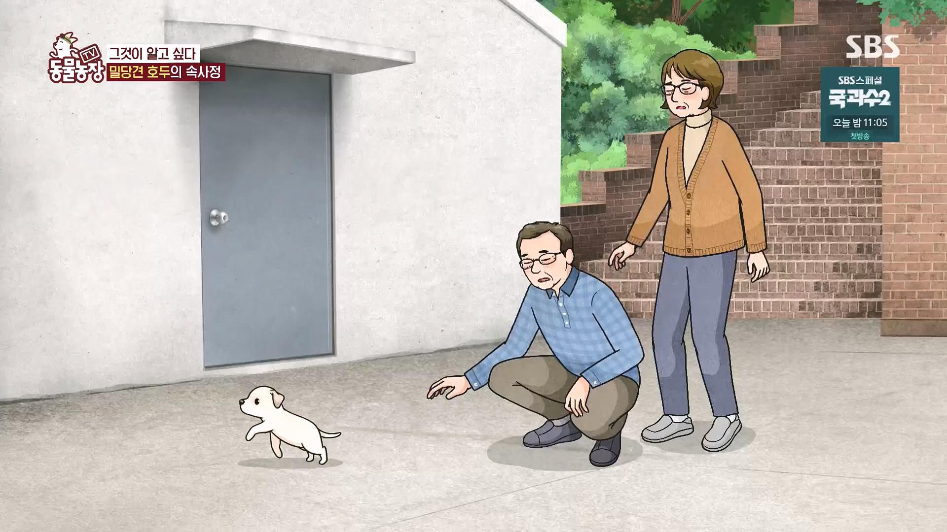 TV 동물농장.E1136.230903p.H264-F1RST.mp4_20230903_180343.793.jpg