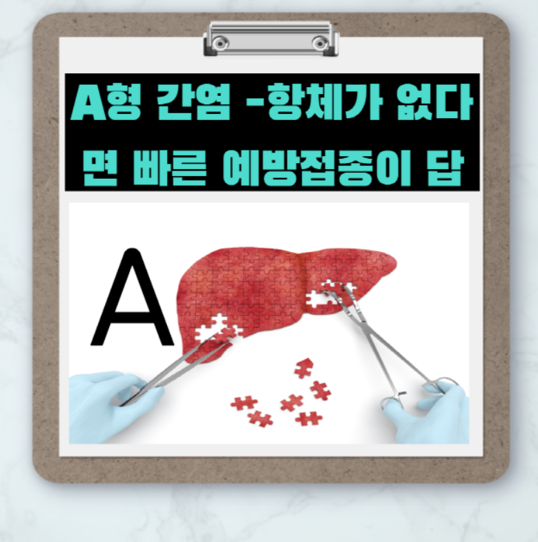  A형 간염 - 항체가 없다면 빠른 예방접종이 답