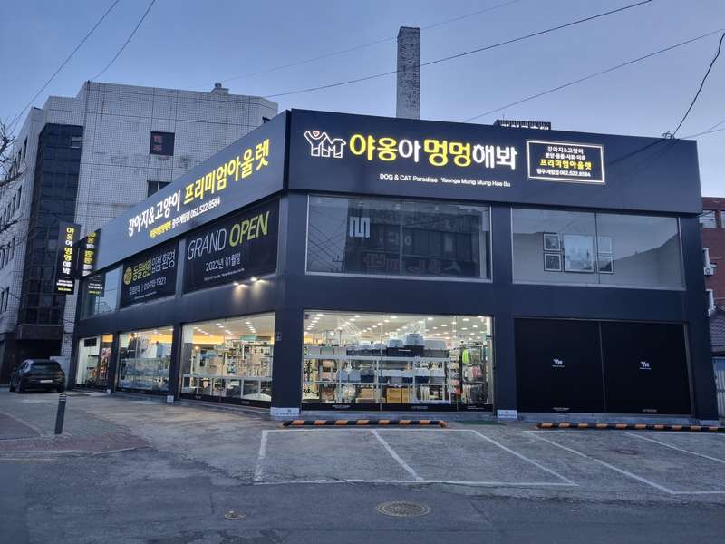광주 동구 애견미용 잘하는 곳 BEST4 | 후기 모음 | 가격비교 | 추천 정보 | 관리 팁 | 미용샵 총정리 - 2. 야옹아멍멍해봐 계림점 소개 2. 야옹아멍멍해봐 계림점 소개