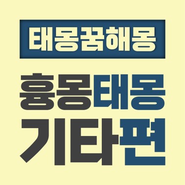  [꿈해몽풀이] 흉몽 태몽 기타편 (고개 경사 언덕 뿔 손가락 수저 아기 이빨 음식 지하실 토)