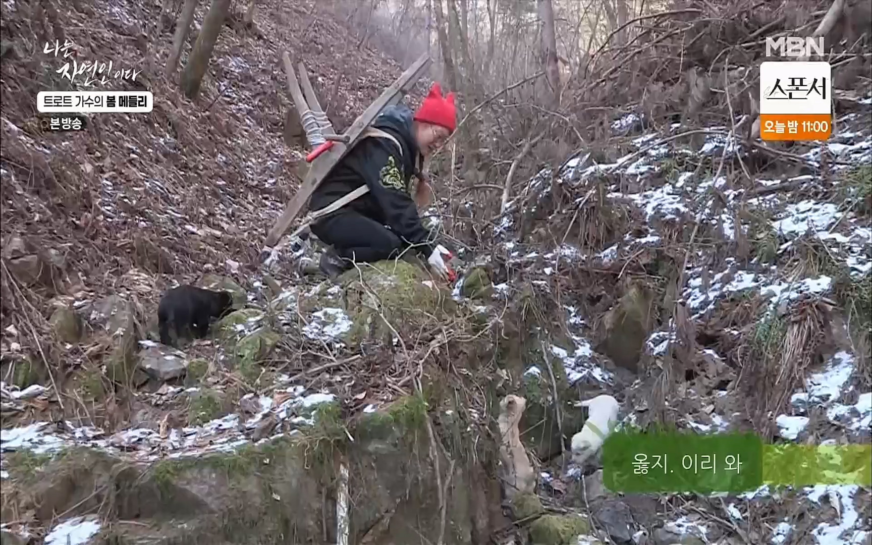 나는 자연인이다.E494.220323p.H264-F1RST.mp4_20220324_183837.649.jpg