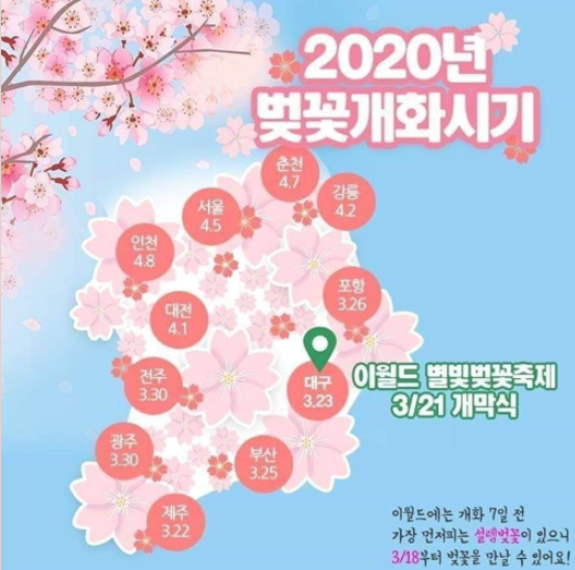 서울 벚꽃 개화 시기