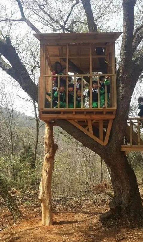 킹콩놀이터