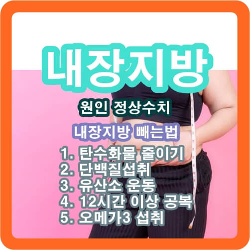 내장지방-원인-정상수치-내장지방-빼는법
