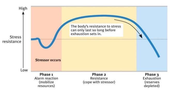 General Adaption Syndrome(GAS)