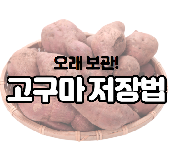  고구마 저장법! (많은 고구마로 무슨 요리를 할까? 고구마 케이크 만들기