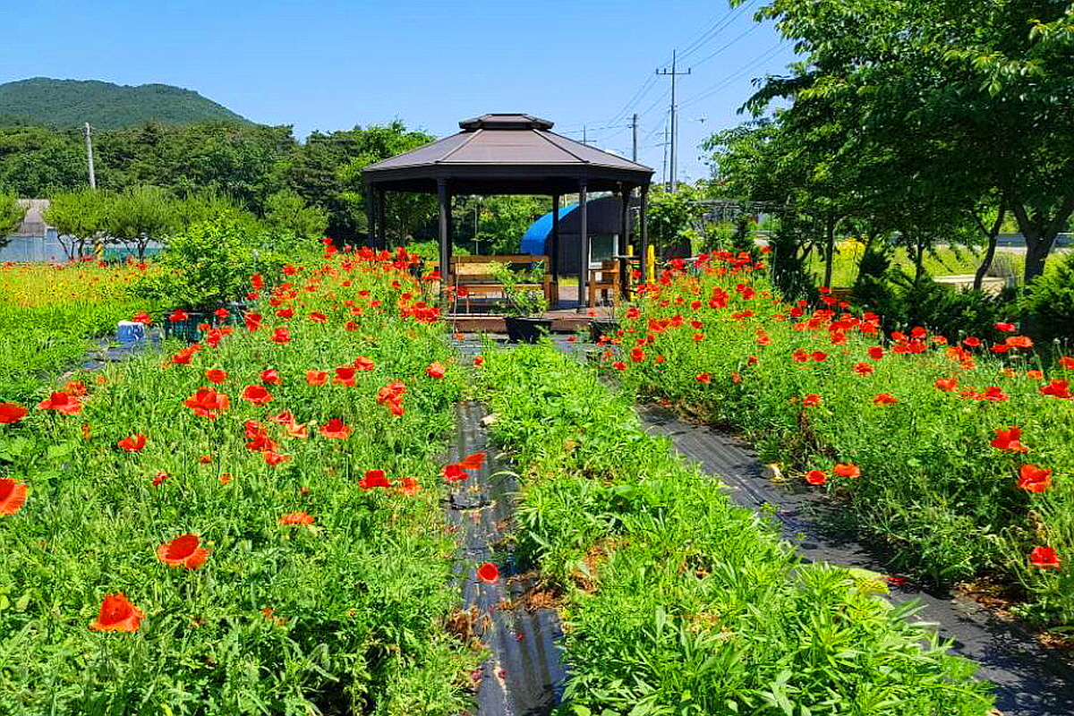 예산 충의치유농원