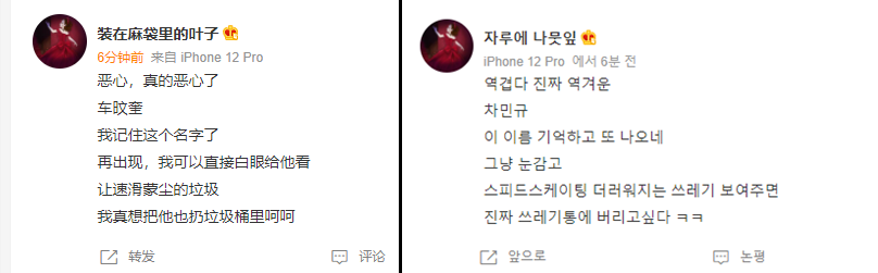  차민규 은메달, 시상대 세레머니에 중국 악플테러