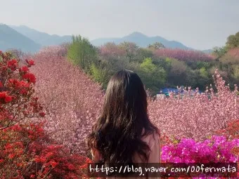 전주 완산칠봉 꽃동산 등산로 벙커 코스_15