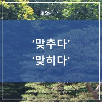 맞히다 맞추다 차이 맞춤법_8