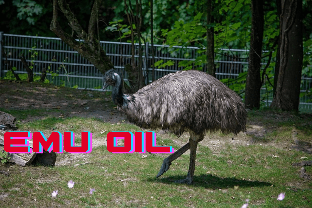 emu oil