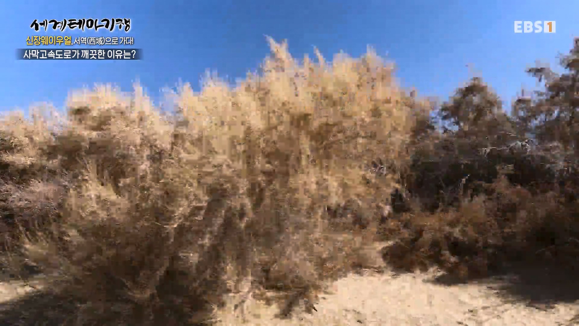 세계테마기행 240103 신장웨이우얼, 서역(西域)으로 가다! -가자! 타클라마칸으로0p.mp4_20240710_203149.472.jpg