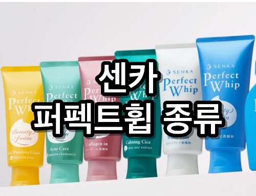 센카 폼클렌징 종류 내 피부에 맞는 제품 선택하기