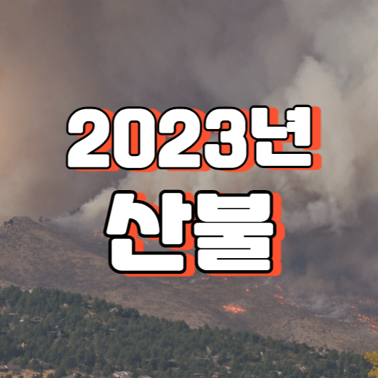 2023년 산불
