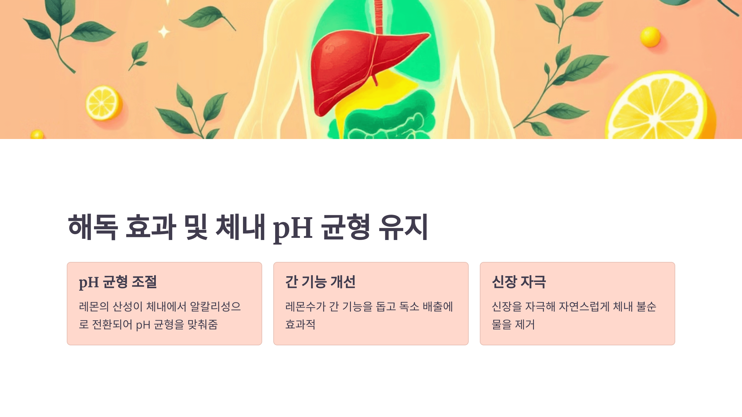 레몬수와 관련된 사진입니다.