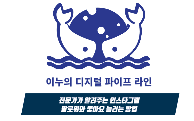  전문가가 알려주는 인스타그램 팔로워와 좋아요 늘리는 방법