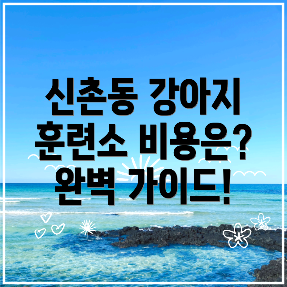 강아지 훈련소