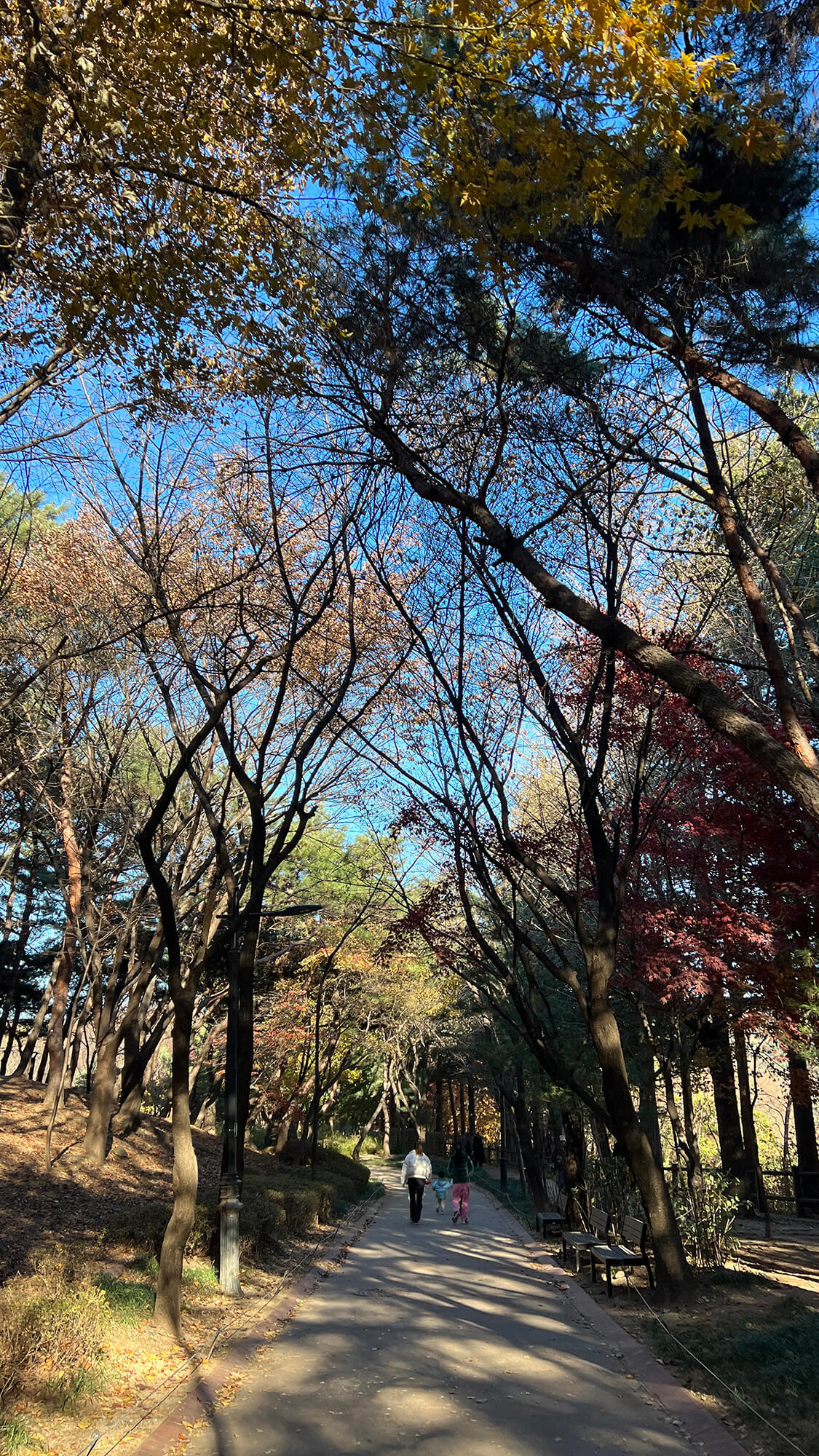 랜드-하얏트-서울- 호캉스-남산공원