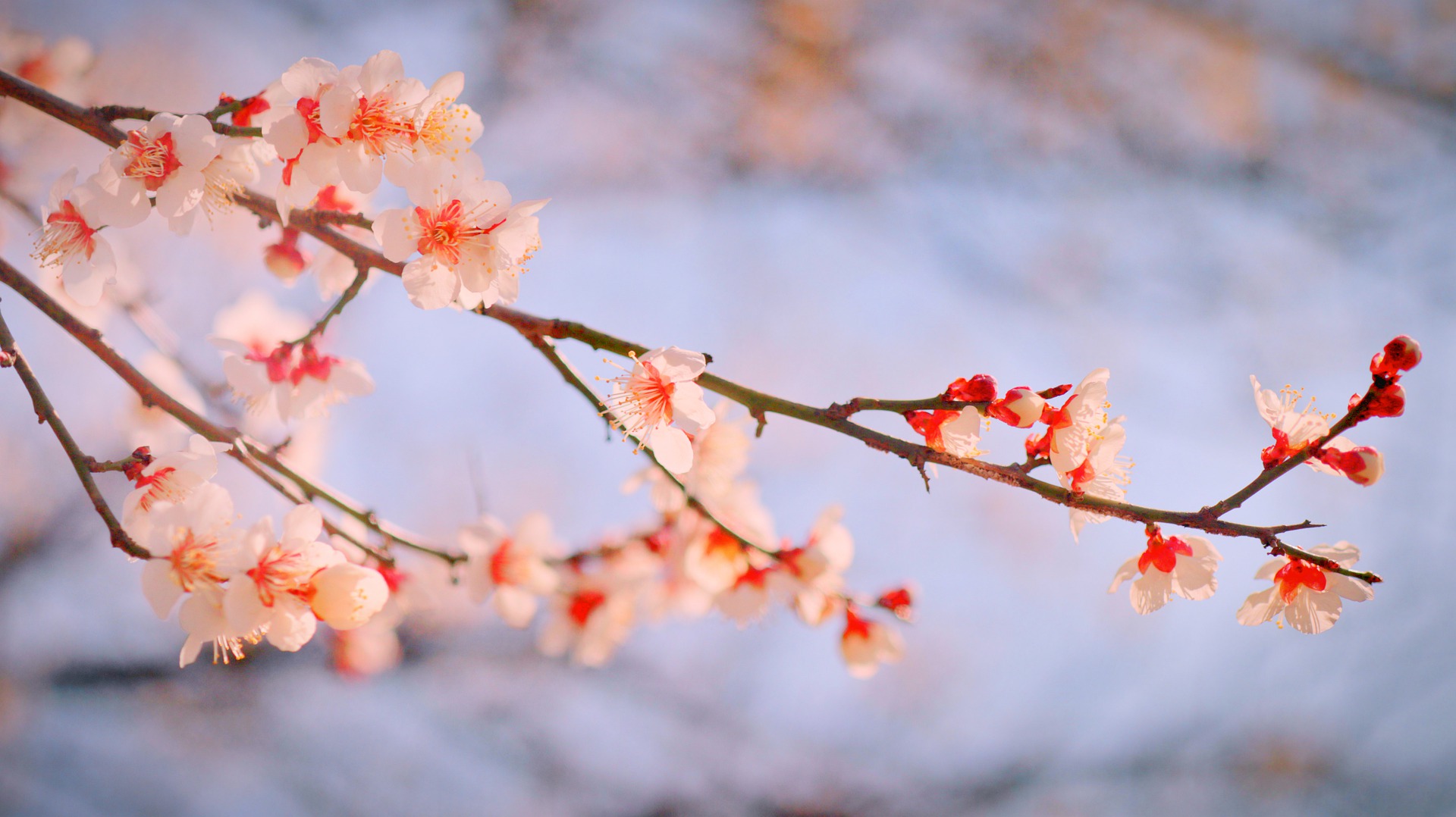  서울에서 안동가는 버스 기차 정보 확인