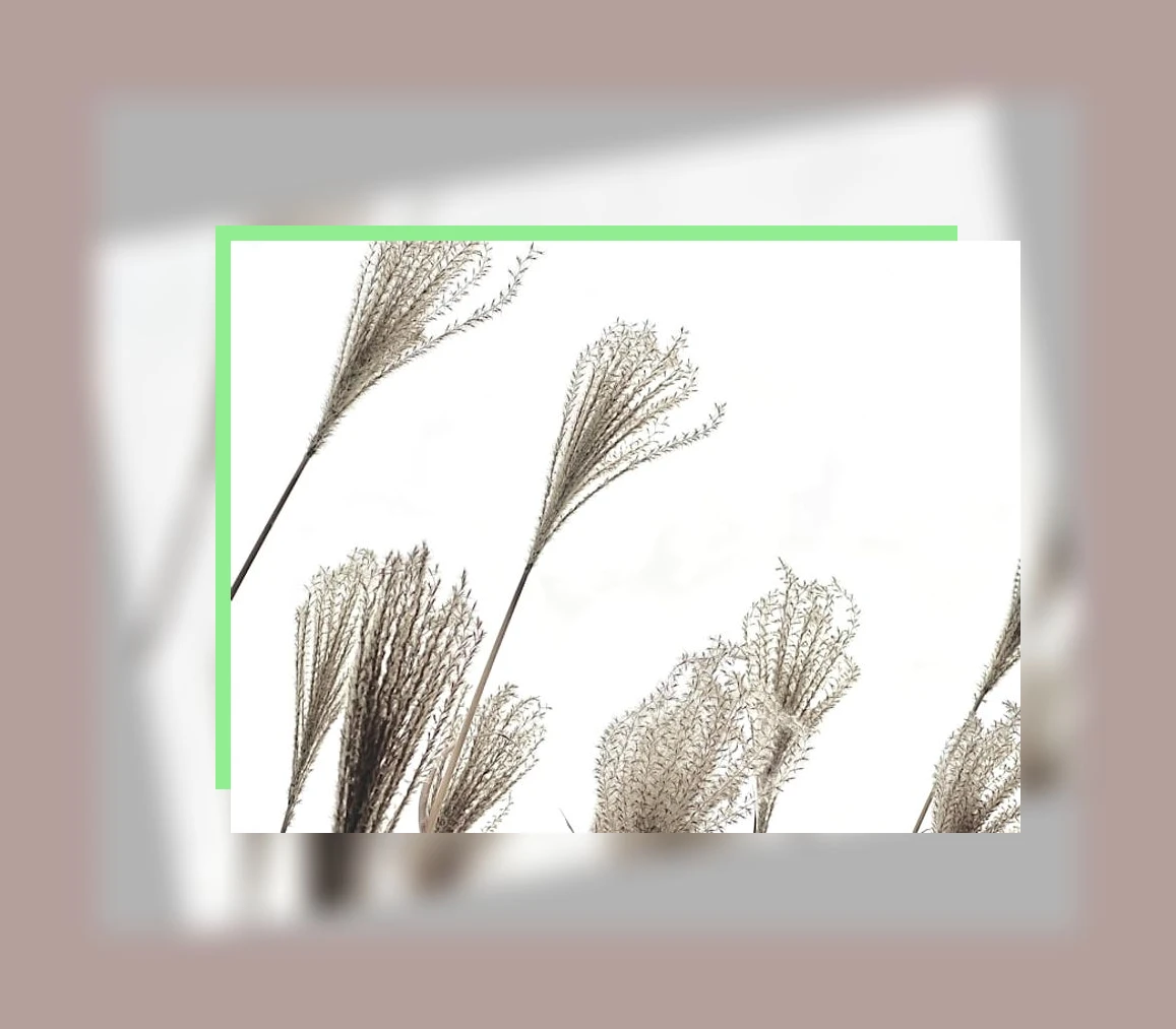 밀싹 효능_1_subsection
