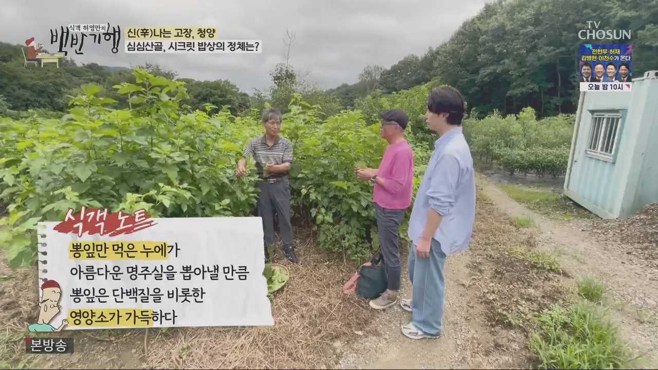 식객 허영만의 백반기행.E213.230826p.H264-F1RST.mp4_20230826_174646.136.jpg