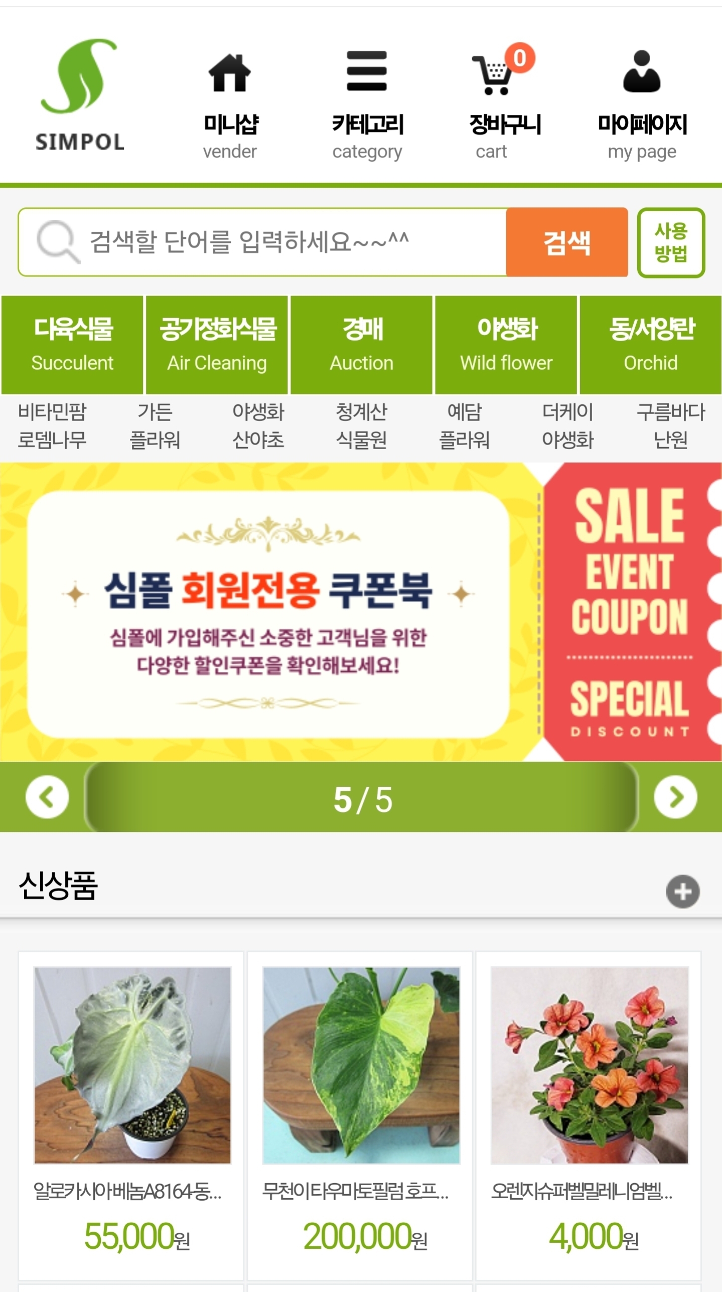 올리브나무 이미지