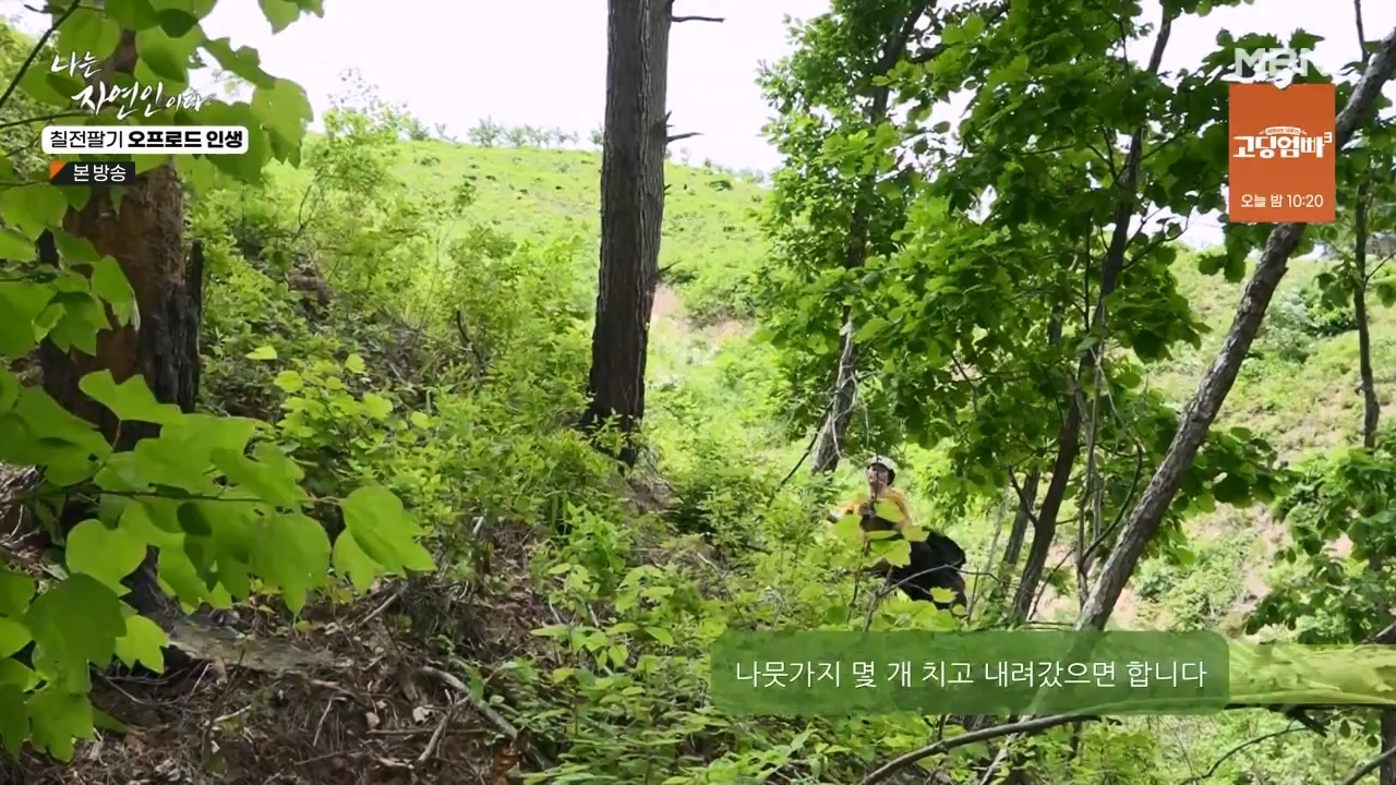 나는 자연인이다.E557.230608p-NEXT.mp4_20230608_194912.771.jpg