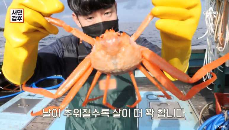  서민갑부 359회홍게편