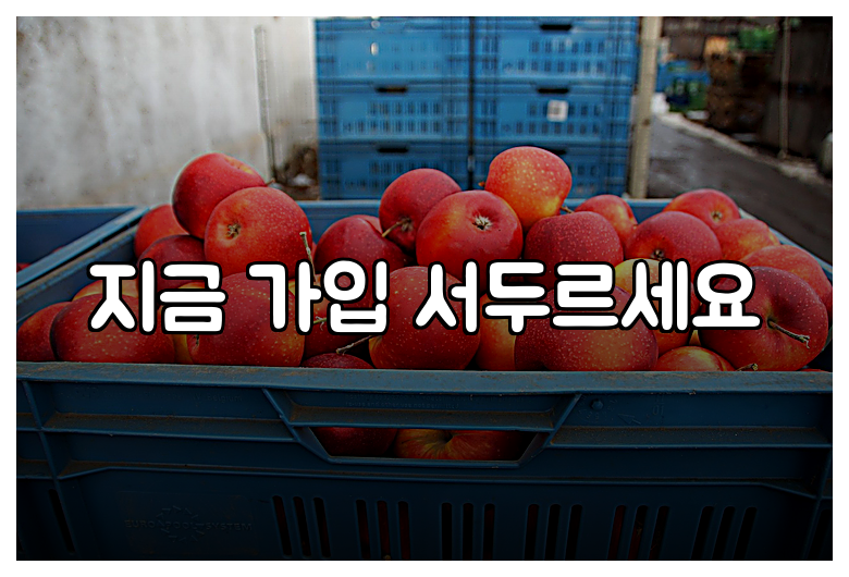 지금 가입 서두르세요