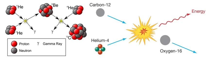헬륨 핵융합 반응으로 탄소와 산소의 생성