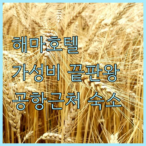 제주 해마호텔, 가성비 끝판왕? 공항
