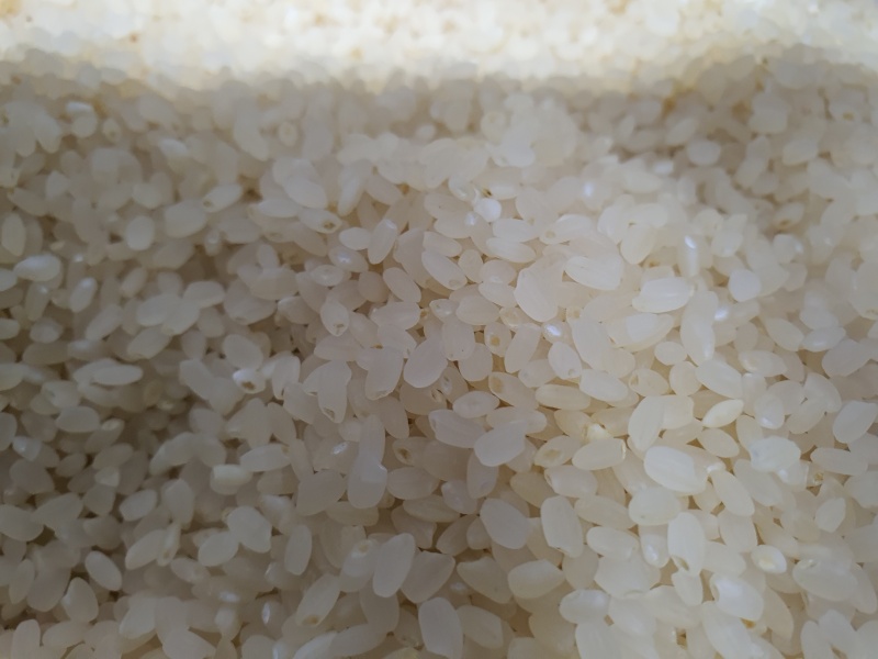 도정된-백미쌀