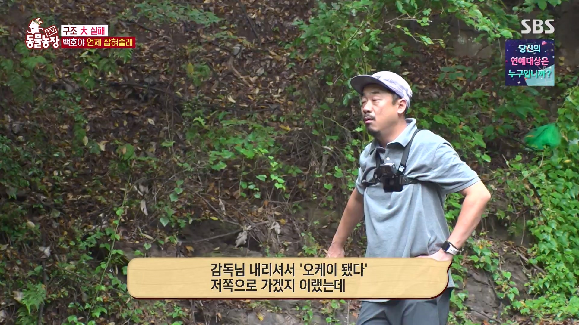 TV 동물농장.E1151.231224p-NEXT.mp4_20231224_154139.154.jpg