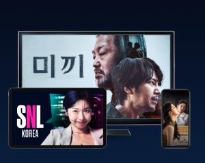 넷플릭스 공유금지