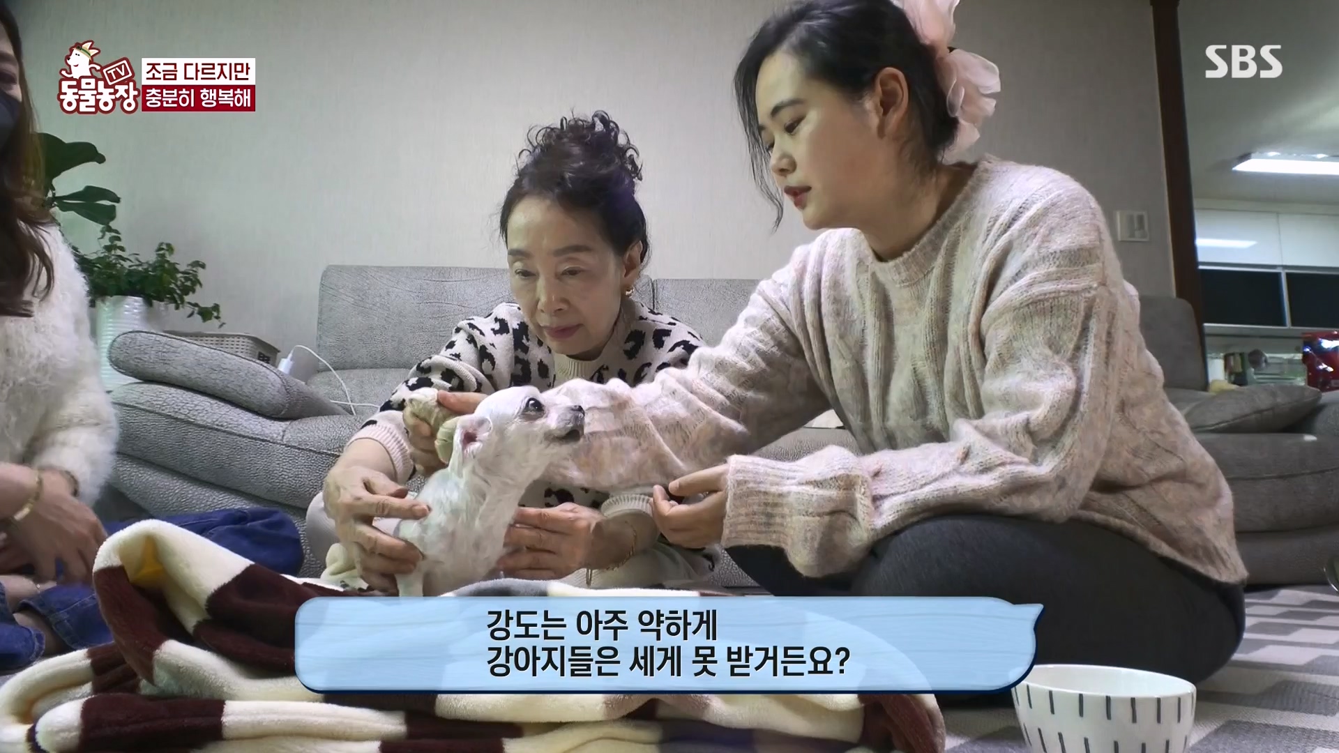 TV 동물농장.E1157.240204p-NEXT.mp4_20240204_172414.914.jpg