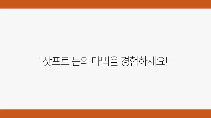 눈 조각을 만들고 있는 예쁘게 가까이 가고 있는 이유